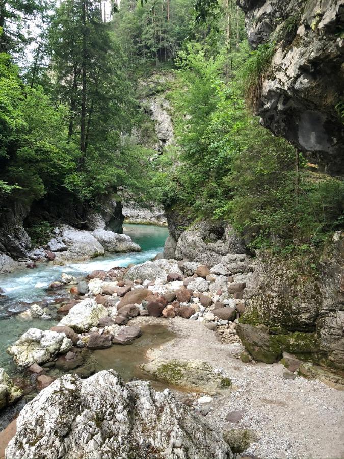 Greenwood Holiday Tarvisio Exterior foto